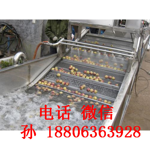 大型蔬菜气泡式清洗机 草莓清洗机 多功能气泡果蔬清洗机